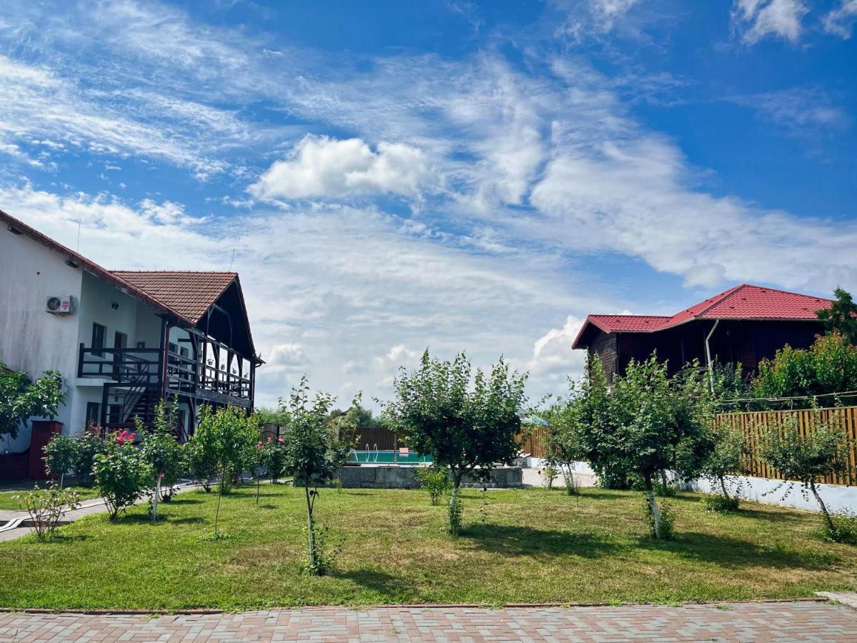 Pensiunea Crisan Экстерьер фото